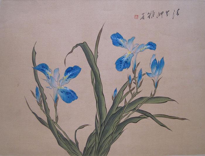 Orquídeas