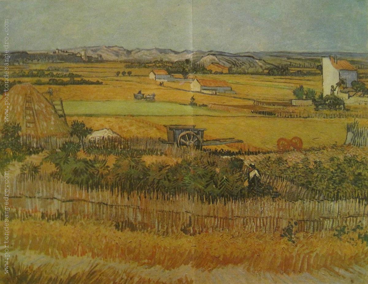 La llanura de Crau