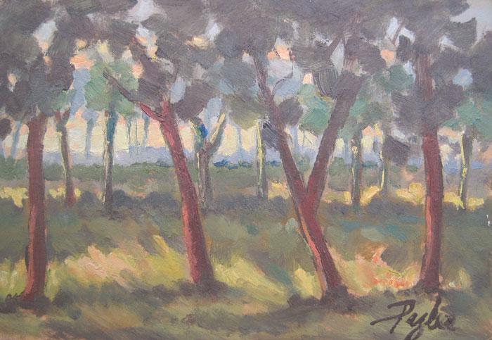 Bosque II