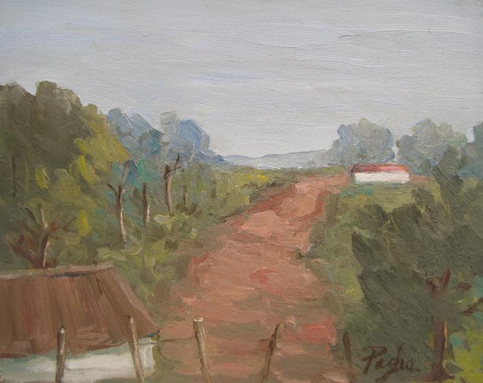 Camino