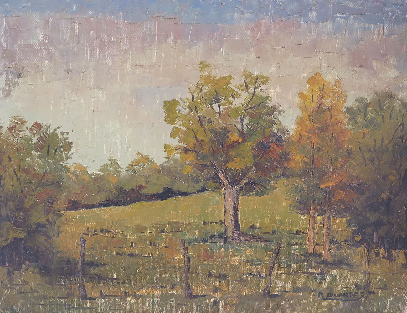 Campo
