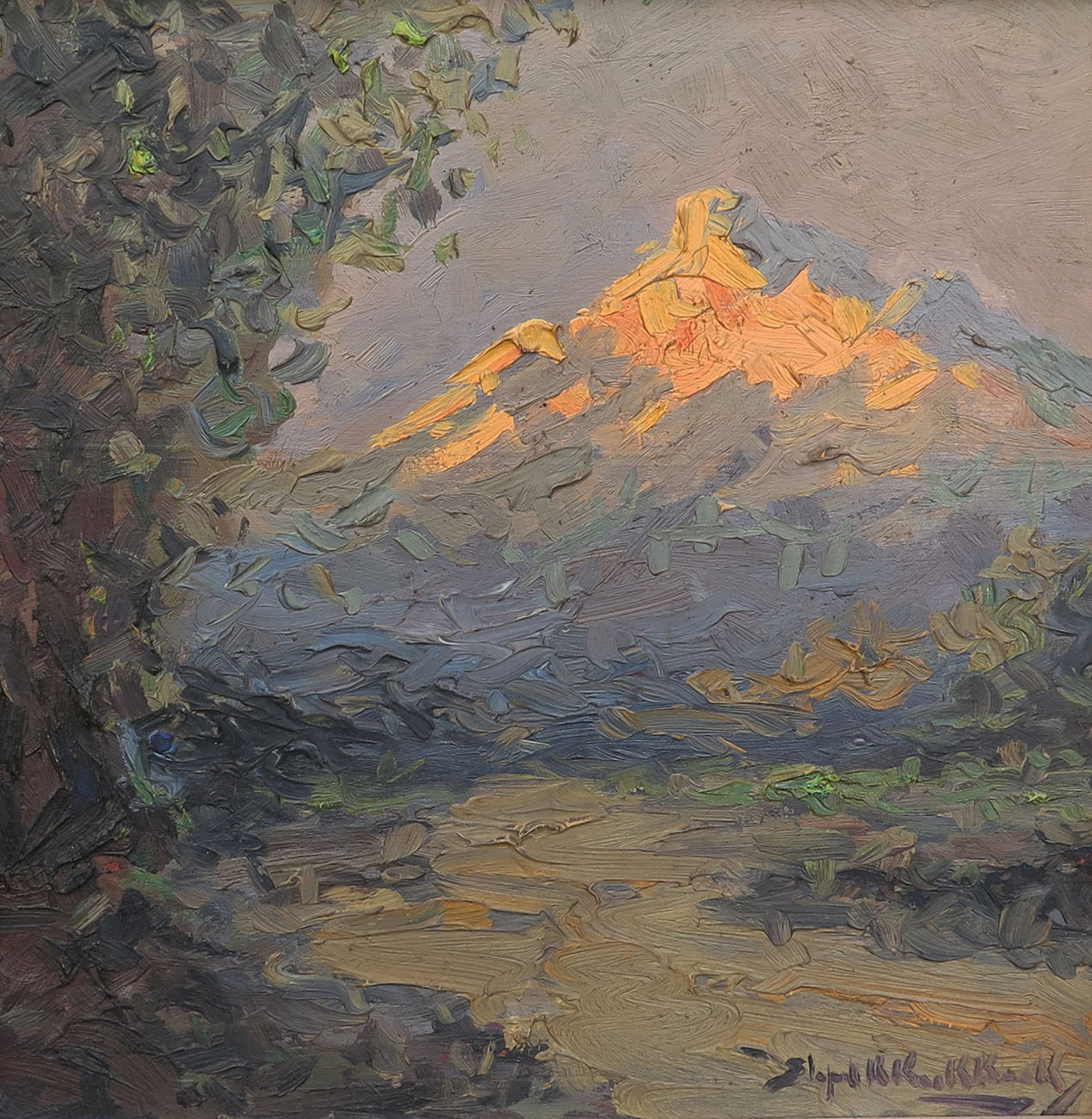 Pico nevado